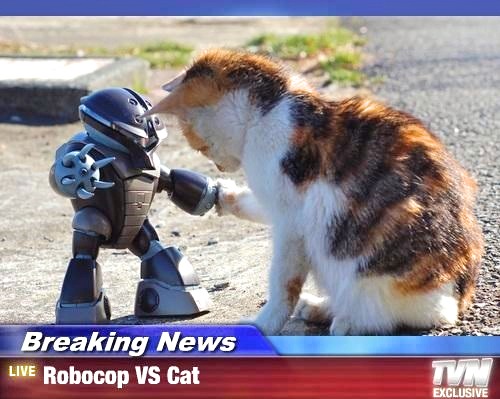 Robocop cat 1 (1)