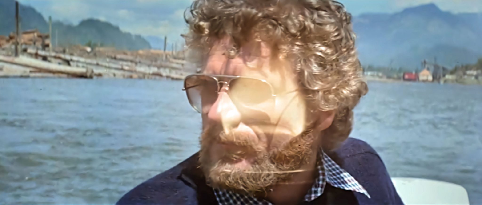 Prophecy (1979) Review Cinematic Diversions